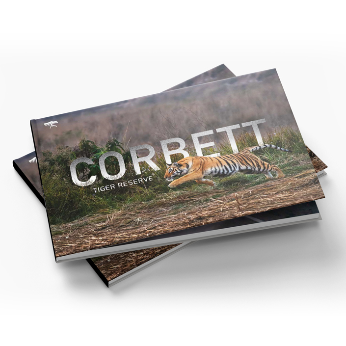 Dignity of Labour the Carpenter